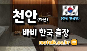 천안바비한국출장