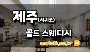 골드스웨디시1인샵
